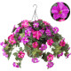 Hanging Planters