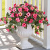 Artificial Fake Flowers Plants for Outdoor Decoration, 2PCS Faux Petunias Silk Flower UV Resistant No Fade for Home Outside Garden Balcony Yard Porch Realistic Indoor Decor (Purple White)